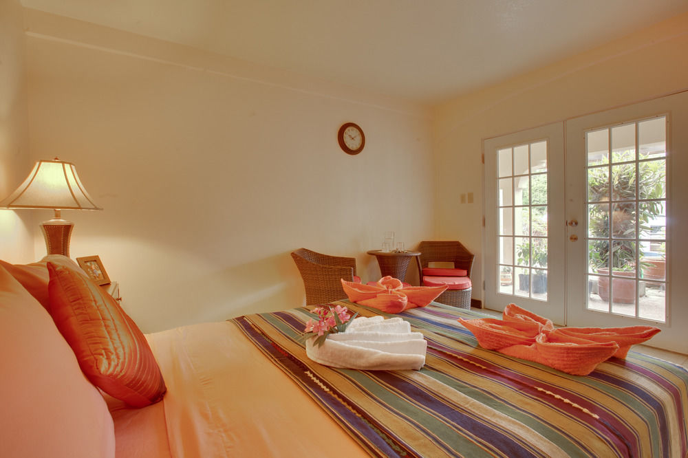 Caribbean Shores Bed & Breakfast Dangriga Zewnętrze zdjęcie
