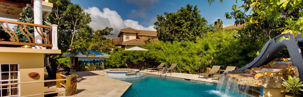Caribbean Shores Bed & Breakfast Dangriga Zewnętrze zdjęcie
