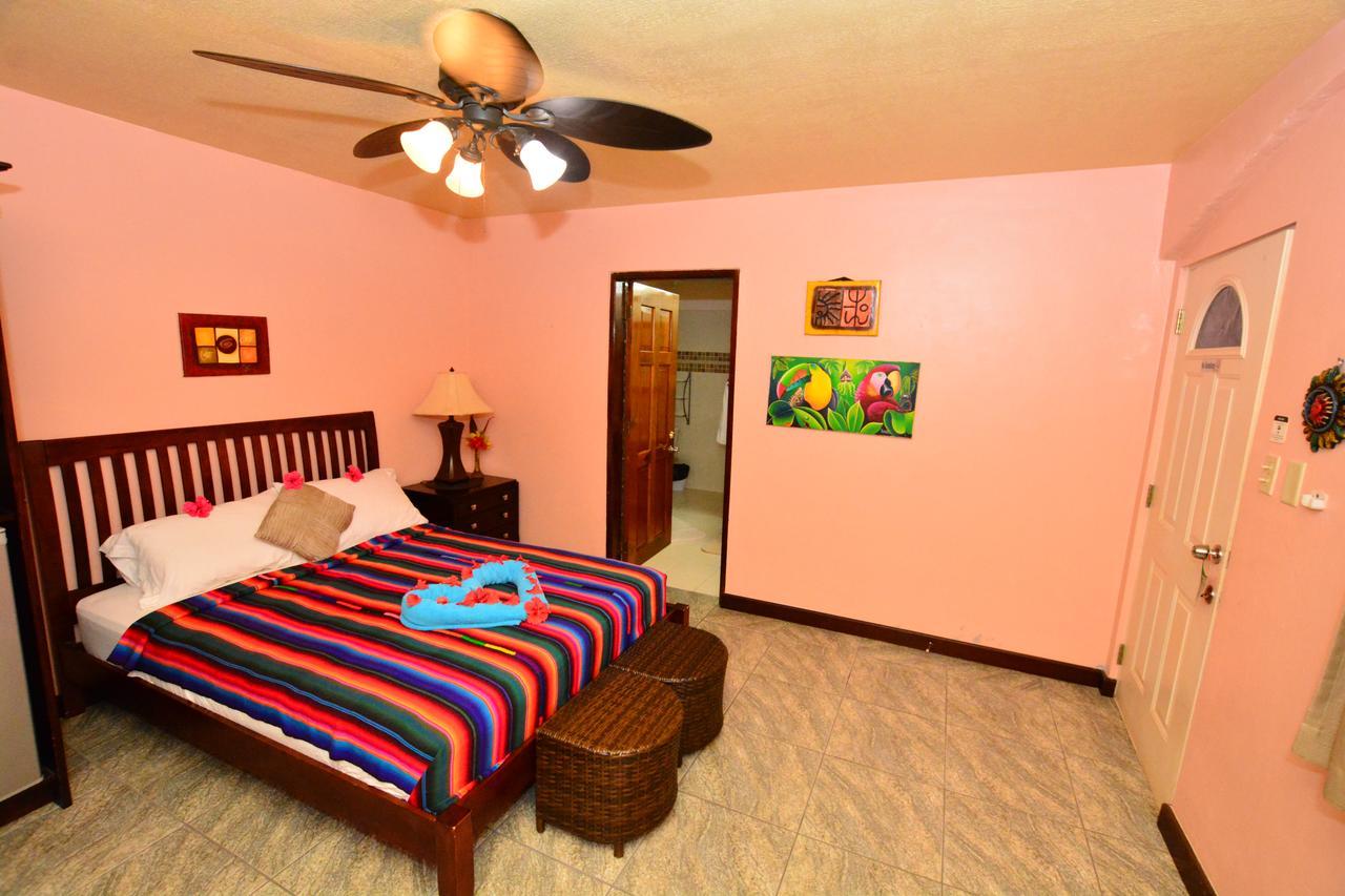 Caribbean Shores Bed & Breakfast Dangriga Zewnętrze zdjęcie