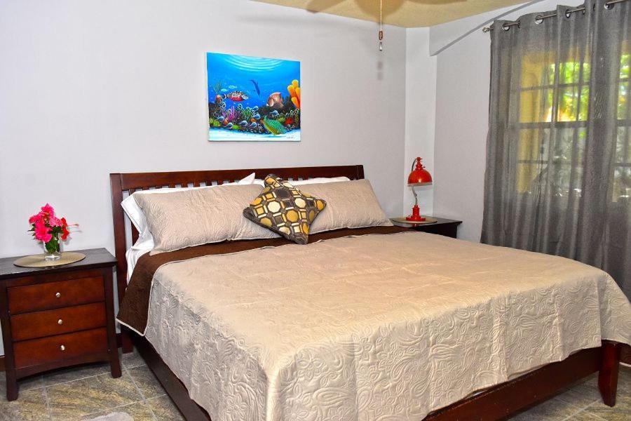 Caribbean Shores Bed & Breakfast Dangriga Zewnętrze zdjęcie